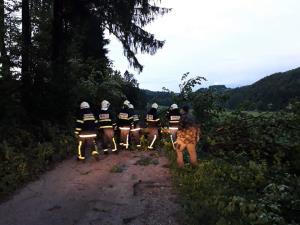 neurje mirna, 02072019, foto PGD Selo (2)